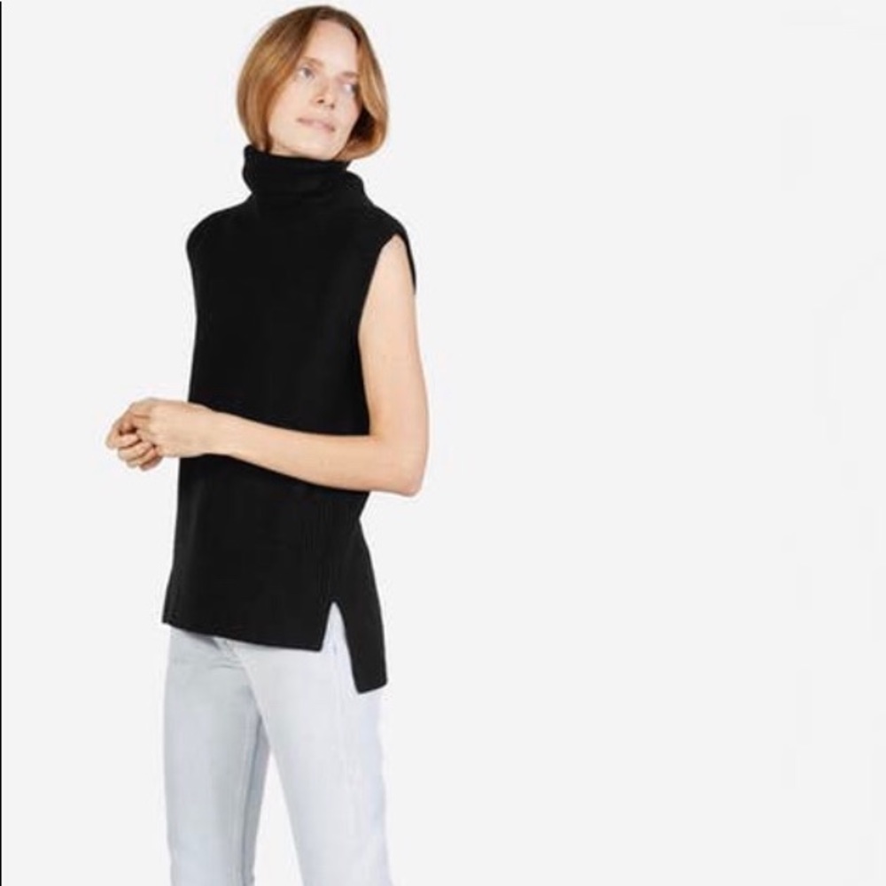 Everlane Chunky Wool Turtleneck Sweater